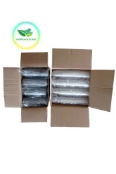 Soğuk Içeçek Milkshake Limonata Bardağı 350 Cc Kubbe Kapaklı Toplam 2000 Adet - 2