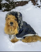 Black Navy Comfie Köpek Montu, Köpek Ceketi, Köpek Dış Giyim - 1