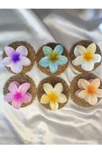 6'lı Rengarenk Lotus Çiçeği Mandal Toka 8 Cm - 8