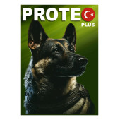 Proteo Plus Kuzu Etli Pirinçli Yetişkin Köpek Maması 15 kg - 1