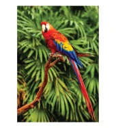 Hayal Sepeti Puzzle Papağan Kuşu Puzzle 100 Parça 24X34Cm - 2