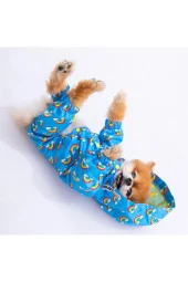 Pawstar Köpek İrides Tulum Yağmurluk L Sırt33cm Göğüs46cm Boyun30cm - 4