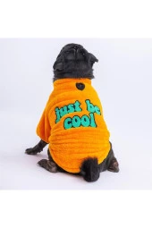 Pawstar Kedi ve KÜÇÜK Köpek Yellow Just Sweat L Sırt33cm Göğüs46cm Boyun30cm - 1
