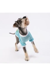 Pawstar Kedi ve KÜÇÜK Köpek Blue Good Day Sweat 2XL Sırt43cm Göğüs58cm Boyun38cm - 3