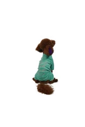 Pawstar Kedi ve KÜÇÜK Köpek Mint Smile Tulum 2XL Sırt43cm Göğüs58cm Boyun38cm - 1