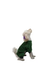 Pawstar Kedi ve KÜÇÜK Köpek Koyu Yeşil Smile Tulum M Sırt28cm Göğüs41cm Boyun26cm - 1