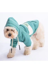 Pawstar Kedi ve KÜÇÜK Köpek Green Cute Hoodie L Sırt33cm Göğüs46cm Boyun30cm - 1