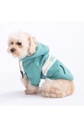 Pawstar Kedi ve KÜÇÜK Köpek Green Cute Hoodie L Sırt33cm Göğüs46cm Boyun30cm - 3