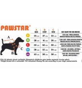 Pawstar Kedi ve KÜÇÜK Köpek Green Cute Hoodie L Sırt33cm Göğüs46cm Boyun30cm - 6