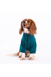 Pawstar Köpek Green Monster Jacket Large Sırt33cm Göğüs46cm Boyun30cm - 3