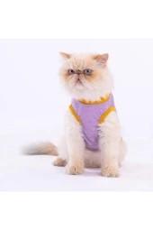 Pawstar Kedi ve KÜÇÜK Köpek T-Shirt Plum Lazy S Sırt24cm Göğüs37cm Boyun23cm - 3