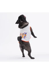 Pawstar Kedi ve KÜÇÜK Köpek T-Shirt Grey Sporty XL Sırt38cm Göğüs55cm Boyun34cm - 1