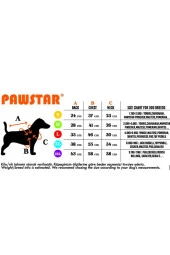 Pawstar Kedi ve KÜÇÜK Köpek T-Shirt Grey Sporty 2XL Sırt43cm Göğüs58cm Boyun38cm - 4