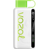 Vozol El Nargilesi Strawberry Kiwi - 1