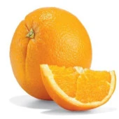 Tüplü Yarı Bodur İri Meyveli Sulu Naveline Portakal Fidanı - 2