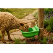 Otomatik Şamandıralı 4 Litre Plastik Hayvan Suluğu-2 Adet thumbnail 4