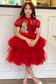 Kız Çocuk Fransız Nakış İşlemeli Gömlek ve Kat Kat Tüllü Kırmızı Etekli Takım thumbnail 1