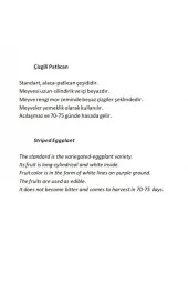 AGRODAL TARIM Ata Tohumu Yöresel Doğal Yerli Meşhur Çizgili Patlıcan 100 Adet Tohum thumbnail 2