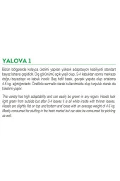 AGRODAL TARIM Ata Tohumu Yerli Doğal Yalova Lahanası 100 Adet Tohum thumbnail 2