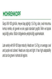 AGRODAL TARIM Yerli Doğal Kara Mor Lahana Mohrenkopf 100 Adet Tohum thumbnail 2