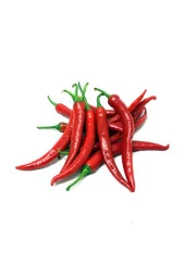 AGRODAL TARIM Ithal Doğal Acı Şili Biberi Acı Biber Hot Chılean Pepper 100 Ad Tohum - 1