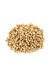 AGRODAL TARIM Ata Tohumu Yerli Doğal Kişniş Otu Yöresel Aşotu Tohumu 500 Ad Sebze Tohumu thumbnail 1