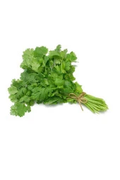 AGRODAL TARIM Ata Tohumu Yerli Doğal Kişniş Otu Yöresel Aşotu Tohumu 500 Ad Sebze Tohumu thumbnail 2