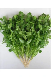 AGRODAL TARIM Ata Tohumu Yerli Doğal Kişniş Otu Yöresel Aşotu Tohumu 500 Ad Sebze Tohumu thumbnail 3