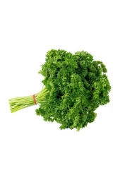 AGRODAL TARIM Doğal Frenk Maydanozu Kıvırcık Maydanoz 500 Ad Tohum thumbnail 2