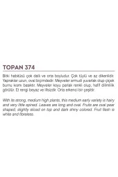 AGRODAL TOHUM Ata Tohumu Yöresel Yerli Doğal Topak Patlıcan Tohumu 100 Adet Tohum thumbnail 2