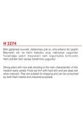 AGRODAL TARIM Ata Tohumu Yerli Oturak Sofralık Iri Domates 100 Adet Doğal Tohum thumbnail 2