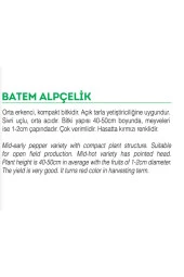 AGRODAL TARIM Ata Tohumu Yerli Acı Turşuluk Doğal Badem Biberi 100 Adet Tohum - 2