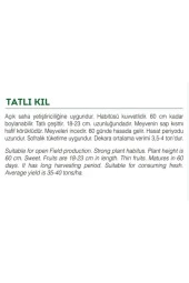 AGRODAL TARIM Ata Tohumu Yöresel Yerli Doğal Tatlı Kıl Sivri Biber 100 Adet Tohum thumbnail 2