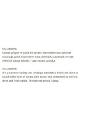 AGRODAL TARIM Ata Tohumu Yerli Doğal Dolmalık Aşlık Kabak Karatopak 20 Adet Tohum thumbnail 2