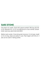 AGRODAL TARIM Ata Tohumu Yerli Doğal Turşuluk Acı Biber 500 Ad Tohum thumbnail 2