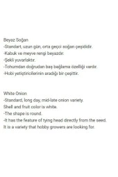 AGRODAL TARIM Yerli Doğal Beyaz Baş Soğan 500 Adet Tohum thumbnail 2