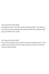 GREEN SOUTH Ata Tohumu Yerli Haylan (heyelan) Kabak 20 Adet Tohum thumbnail 2