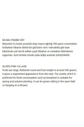 AGRODAL TARIM Ata Tohumu Yerli Oturak Dilimli Pembe Köy Domatesi 100 Adet Doğal Tohum thumbnail 3