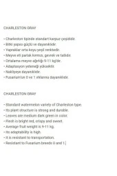 AGRODAL TARIM Nadir Bulunan Yerli Doğal Charleston Gray Karpuz 20 Adet Tohum thumbnail 2