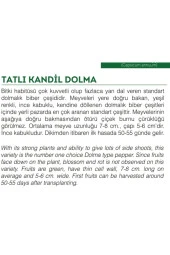 AGRODAL TARIM Ata Tohumu Yerli Tatlı Kandil Dolma Biberi 100 Adet Doğal Tohum thumbnail 2