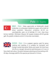 AGRODAL TARIM Ata Tohumu Yöresel Yerli Doğal Tatlı Pala Yağlık Köz Biber 100 Adet Tohum thumbnail 2