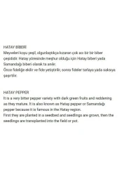 AGRODAL TARIM Ata Tohumu Yerli Çok Acı Hatay Biberi 500 Ad Doğal Tohum thumbnail 2