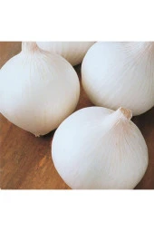 AGRODAL TARIM Yerli Doğal Beyaz Baş Soğan 500 Adet Tohum thumbnail 1