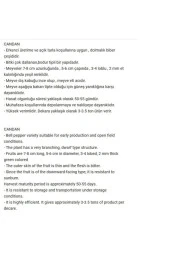 AGRODAL TARIM Ata Tohumu Yerli Doğal Hatay Acı Dolma Biberi 500 Adet Tohum thumbnail 2