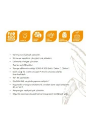 AGRODAL TARIM Yüksek Boylu Danelik Mısır Haşlama Közleme 50 Adet Tohum thumbnail 2