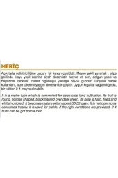 AGRODAL TARIM Ata Tohumu Yerli Turşuluk Doğal Kara Kavun Meriç 100 Adet Tohum thumbnail 2