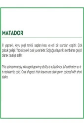 AGRODAL TARIM Ata Tohumu Yerli Doğal Ispanak Tohumu 500 Adet Tohum thumbnail 2