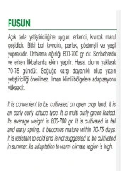 AGRODAL TARIM Ata Tohumu Yerli Doğal Kıvırcık Marul Füsun 1000 Adet Tohum thumbnail 2