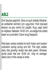 AGRODAL TARIM Ata Tohumu Yerli Doğal Taze Sırık Fasulye Aslı 50 Adet Tohum thumbnail 3