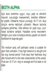 AGRODAL TARIM Ata Tohumu Doğal Salatalık Aranan Reyha Yerli Hıyar 100 Adet Tohum thumbnail 3